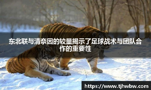 东北联与清奈因的较量揭示了足球战术与团队合作的重要性